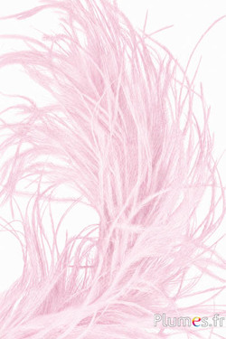 Struzzo ciocca - 10 cm - rosa chiaro